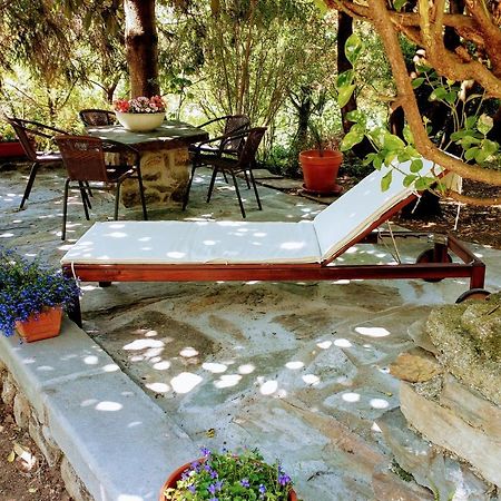 Casa Visnenza Bed & Breakfast Capo di Ponte Dış mekan fotoğraf