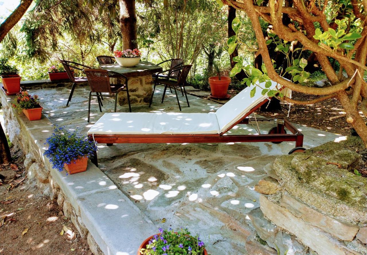 Casa Visnenza Bed & Breakfast Capo di Ponte Dış mekan fotoğraf